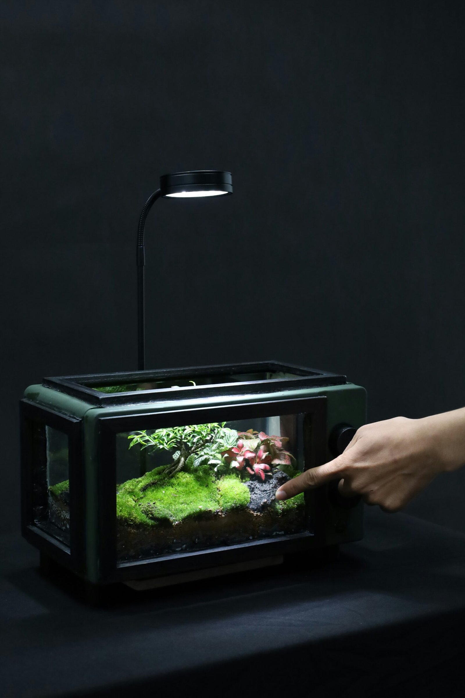 a person touching a fish tank with a light on it